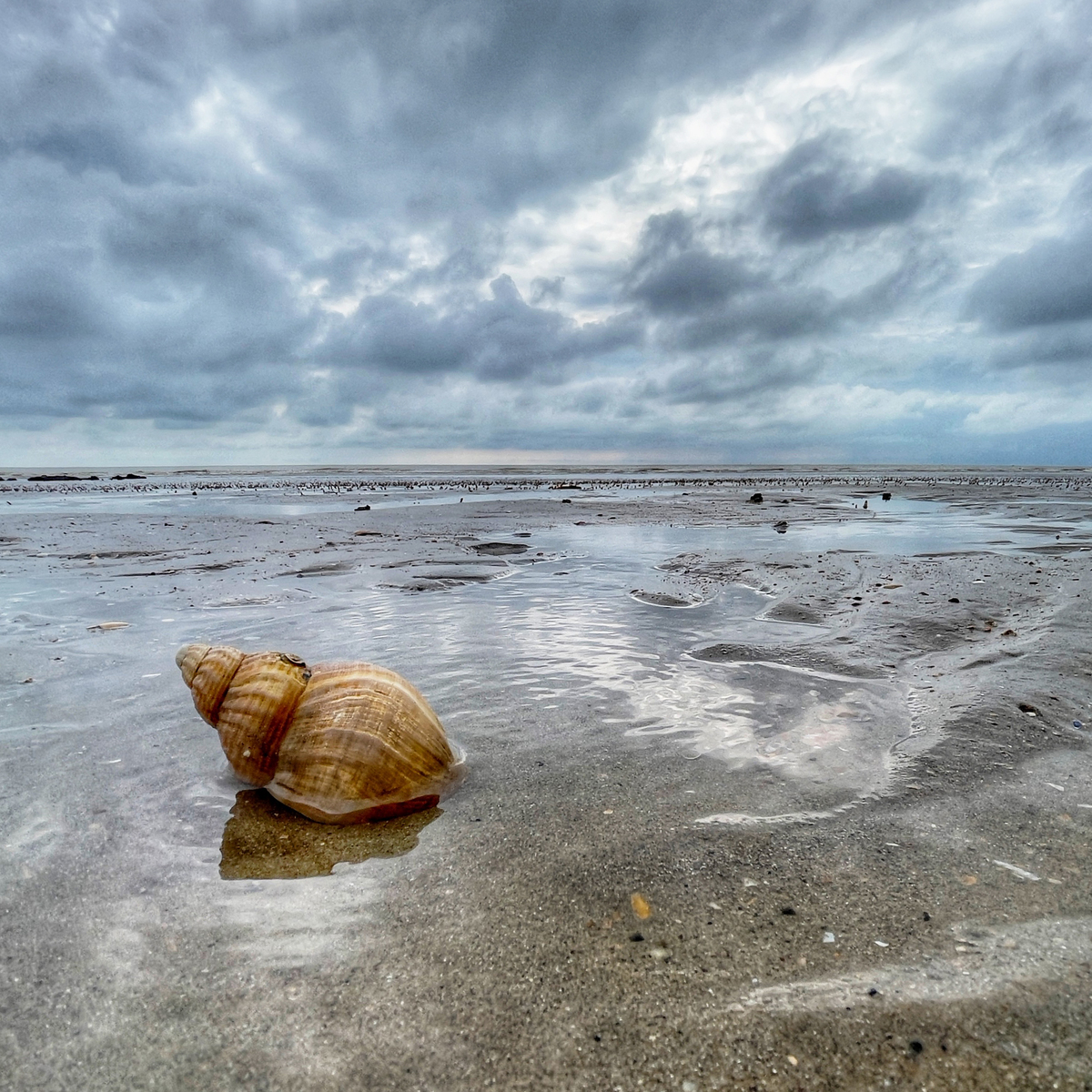 BETWEEN RETREAT AND RETURN